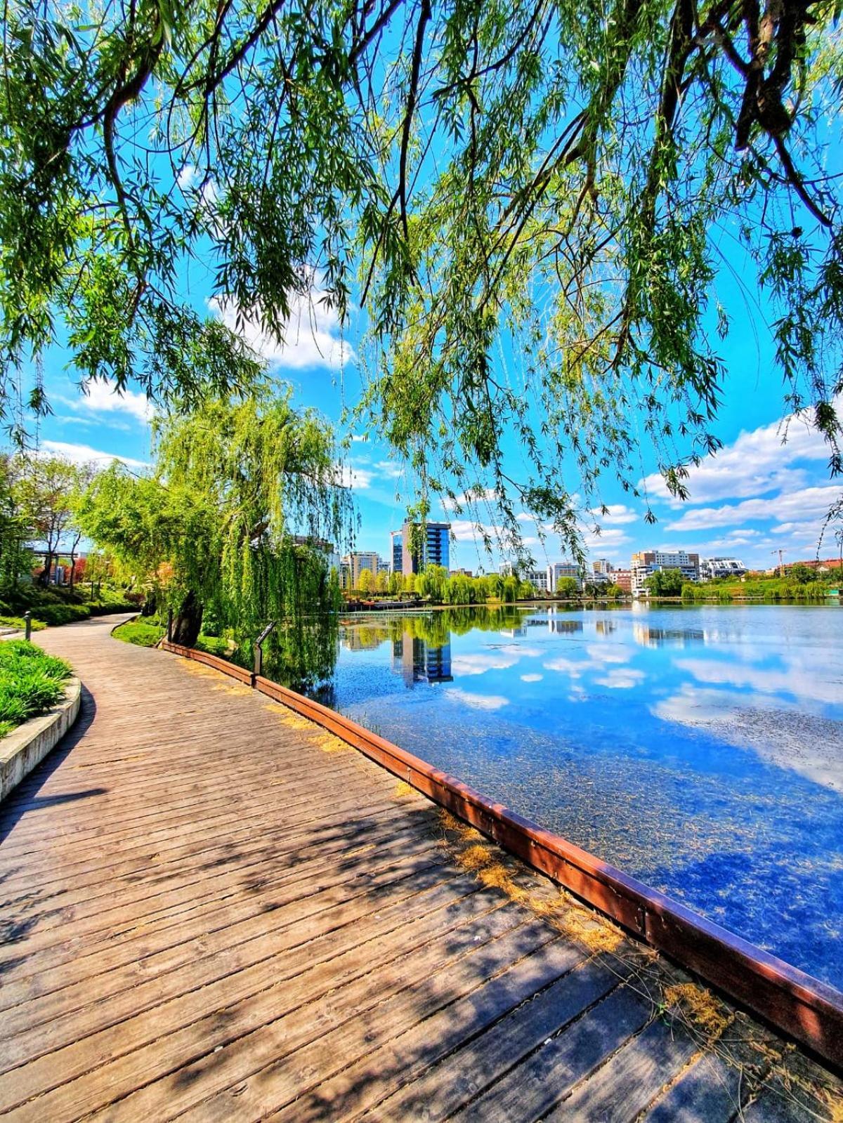 קלוז'-נאפוקה Meb Apartments - Park Lake מראה חיצוני תמונה